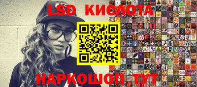 индика Сланцы