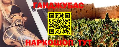 индика Сланцы