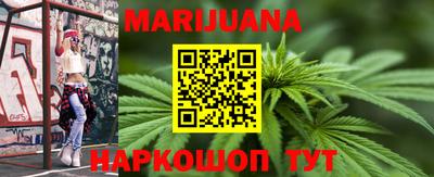 индика Сланцы