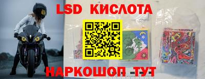 индика Сланцы