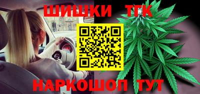 индика Сланцы