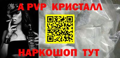 индика Сланцы