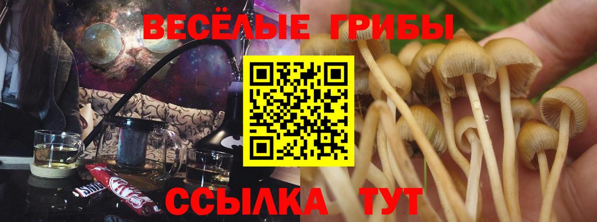 Рославль  Псилоцибиновые грибы Psilocybe  Вход с VPN  наркошоп  Псилоцибиновые грибы мицелий 