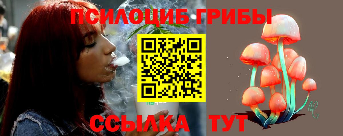 Псилоцибиновые грибы Magic Shrooms Рославль